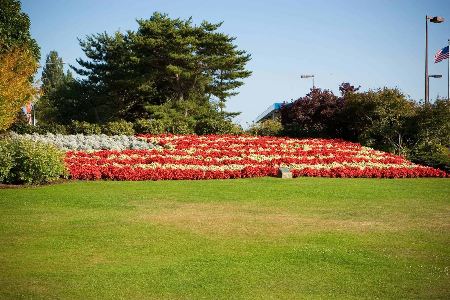 what-is-dormant-grass-hometown-landscaping