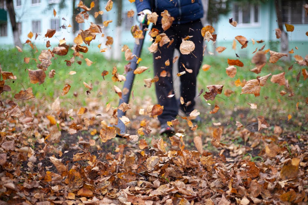 5 Ways To Prep Your Property For Fall | Hometown Landscape